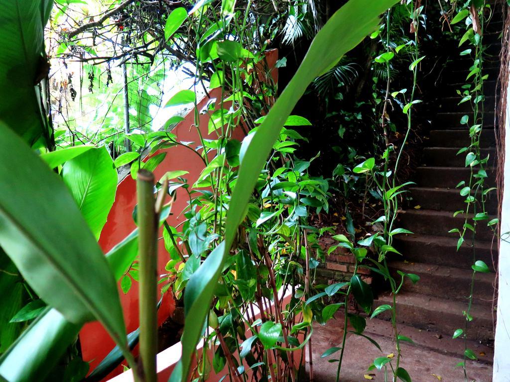 Para Ti Guesthouse Рио-де-Жанейро Экстерьер фото